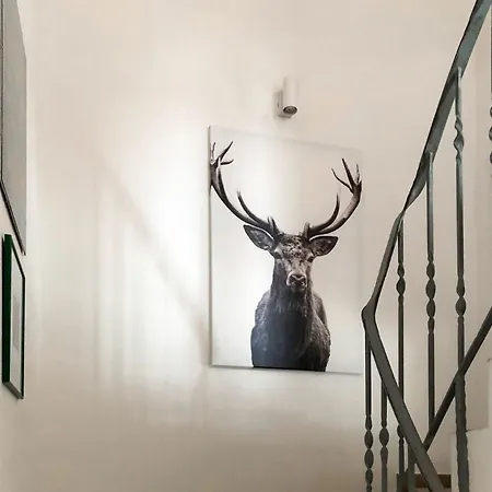 Hébergement de vacances Rustikales Ferienhaus Schiffer Mit Wlan, Garten Und Terrasse *